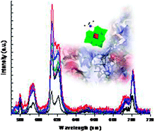 Graphical abstract: Molecular interactions between serum albumin proteins and Keggin type polyoxometalates studied using luminescence spectroscopy
