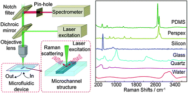 Graphical abstract: Microfluidics and Raman microscopy: current applications and future challenges