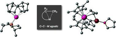 Graphical abstract: Intramolecular C–C agostic complexes: C–C sigma interactions by another name