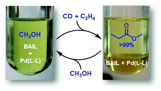 Graphical abstract: Pd-catalyzed ethylene methoxycarbonylation with Brønsted acid ionic liquids as promoter and phase-separable reaction media