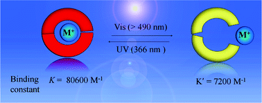 Graphical abstract: Light gated reversible modulation of Cu2+ binding