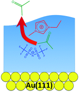 Graphical abstract: On the evaporation, bonding, and adsorbate capture of an ionic liquid on Au(111)