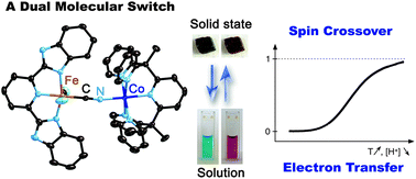 Graphical abstract: Spin crossover or intra-molecular electron transfer in a cyanido-bridged Fe/Co dinuclear dumbbell: a matter of state