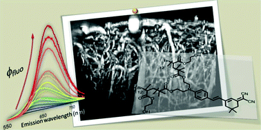Graphical abstract: A water soluble probe with near infrared two-photon absorption and polarity-induced fluorescence for cerebral vascular imaging