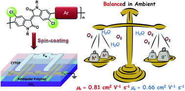 Graphical abstract: Chlorination as a useful method to modulate conjugated polymers: balanced and ambient-stable ambipolar high-performance field-effect transistors and inverters based on chlorinated isoindigo polymers