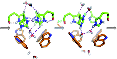 Graphical abstract: Ab initio calculations and validation of the pH-dependent structures of the His37-Trp41 quartet, the heart of acid activation and proton conductance in the M2 protein of Influenza A virus
