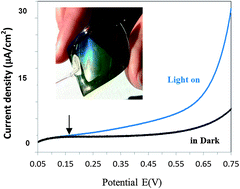 Graphical abstract: A light-assisted, polymeric water oxidation catalyst that selectively oxidizes seawater with a low onset potential