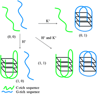 Graphical abstract: Simple DNA-based logic gates responding to biomolecules and metal ions