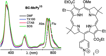 Graphical abstract: Amphiphilic chlorins and bacteriochlorins in micellar environments. Molecular design, de novo synthesis, and photophysical properties