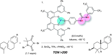 Graphical abstract: “Phosphite–urea” cooperative high-turnover catalysts for the highly selective bromocyclization of homogeranylarenes