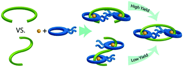 Graphical abstract: Optimizing the formation of 2,6-bis(N-alkyl-benzimidazolyl)pyridine-containing [3]catenates through component design