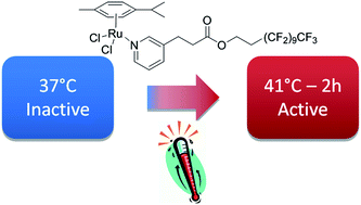 Graphical abstract: Thermoresponsive organometallic arene ruthenium complexes for tumour targeting