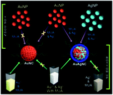 Graphical abstract: Fluorescent AuAg alloy clusters: synthesis and SERS applications