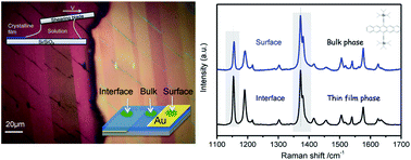 Graphical abstract: Probing the interfacial molecular packing in TIPS-pentacene organic semiconductors by surface enhanced Raman scattering