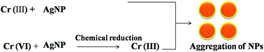 Graphical abstract: Simple colorimetric sensor for Cr(iii) and Cr(vi) speciation using silver nanoparticles as a probe