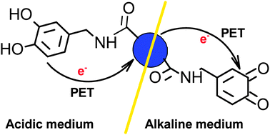 Graphical abstract: pH triggered reversible photoinduced electron transfer to and from carbon nanoparticles