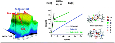 Graphical abstract: Revealing the halide effect on the kinetics of the aerobic oxidation of Cu(i) to Cu(ii)