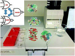 Graphical abstract: Enzyme-based logic gates switchable between OR, NXOR and NAND Boolean operations realized in a flow system
