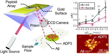 Graphical abstract: Label-free detection of Alzheimer’s disease through the ADP3 peptoid recognizing the serum amyloid-beta42 peptide
