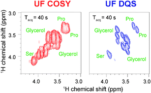 Graphical abstract: Ultrafast double-quantum NMR spectroscopy