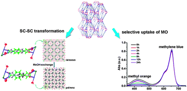 Graphical abstract: A cage-based cationic body-centered tetragonal metal–organic framework: single-crystal to single-crystal transformation and selective uptake of organic dyes