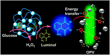 Graphical abstract: A glucose-powered antimicrobial system using organic–inorganic assembled network materials