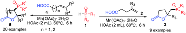 Graphical abstract: Mn(OAc)3-mediated phosphonation–lactonization of alkenoic acids: synthesis of phosphono-γ-butyrolactones