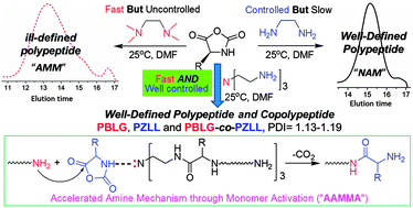Graphical abstract: From competition to cooperation: a highly efficient strategy towards well-defined (co)polypeptides