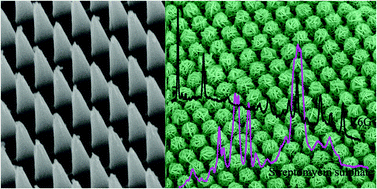 Graphical abstract: Fabrication of silver nanoplate hierarchical turreted ordered array and its application in trace analyses
