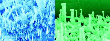 Graphical abstract: Heterostructured calcium carbonate nanowires controlled by a cationic polyelectrolyte