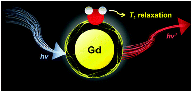 Graphical abstract: Recent advances in Gd-chelate based bimodal optical/MRI contrast agents