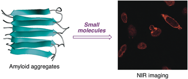 Graphical abstract: Imaging of β-amyloid plaques by near infrared fluorescent tracers: a new frontier for chemical neuroscience