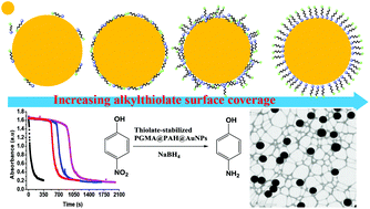 Graphical abstract: The induction phenomenon and catalytic deactivation of thiolate-stabilized raspberry-like polymer composites coated with gold nanoparticles
