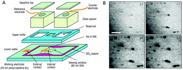 Graphical abstract: Recent developments of the in situ wet cell technology for transmission electron microscopies