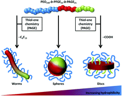 Graphical abstract: Solution self-assembly of poly(ethylene oxide)-block-poly(furfuryl glycidyl ether)-block-poly(allyl glycidyl ether) based triblock terpolymers: a field-flow fractionation study