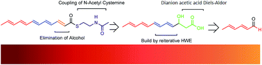 Graphical abstract: Synthesis of a 2,4,6,8,10-dodecapentanoic acid thioester as a substrate for biosynthesis of heat stable antifungal factor (HSAF)