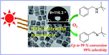 Graphical abstract: Well-defined BiOCl colloidal ultrathin nanosheets: synthesis, characterization, and application in photocatalytic aerobic oxidation of secondary amines