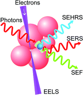 Graphical abstract: Probing plasmonic nanostructures by photons and electrons