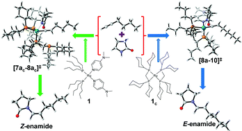Graphical abstract: Computational study of the mechanism and selectivity of ruthenium-catalyzed hydroamidations of terminal alkynes