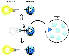 Graphical abstract: Reaction-based Indicator displacement Assay (RIA) for the selective colorimetric and fluorometric detection of peroxynitrite