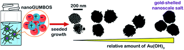 Graphical abstract: Soft- and hard-templated organic salt nanoparticles with the Midas touch: gold-shelled nanoGUMBOS