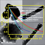 Graphical abstract: A prototypical development of plasmonic multiferroic bismuth ferrite particulate and fiber nanostructures and their remarkable photocatalytic activity under sunlight