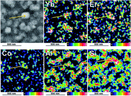 Graphical abstract: Conjugation of TEM-EDX and optical spectroscopy tools for the localization of Yb3+, Er3+ and Co2+ dopants in laser glass ceramics composed of MgAl2O4 spinel nano-crystals embedded in SiO2 glass