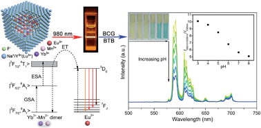 Graphical abstract: Pure and intense orange upconversion luminescence of Eu3+ from the sensitization of Yb3+–Mn2+ dimer in NaY(Lu)F4 nanocrystals