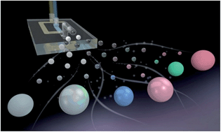 Graphical abstract: Preparation of structurally colored, monodisperse spherical assemblies composed of black and white colloidal particles using a micro-flow-focusing device