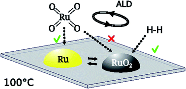Graphical abstract: Atomic layer deposition of ruthenium at 100 °C using the RuO4-precursor and H2