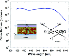 Graphical abstract: High-detectivity inverted near-infrared polymer photodetectors using cross-linkable conjugated polyfluorene as an electron extraction layer