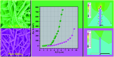 Graphical abstract: Ag decorated topological surface state protected hierarchical Bi2Se3 nanoflakes for enhanced field emission properties