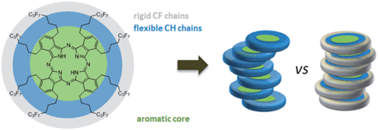 Graphical abstract: Liquid crystalline and charge transport properties of novel non-peripherally octasubstituted perfluoroalkylated phthalocyanines