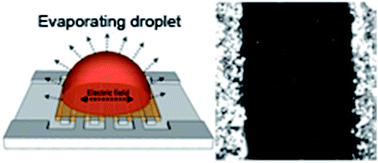Graphical abstract: Electrically driven assembly of CdTe quantum dots into photoconductive microwires